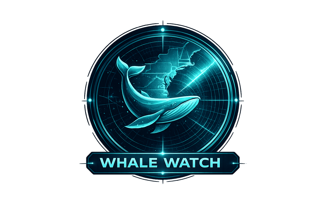 Whale Watch