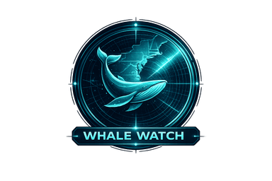 Whale Watch